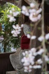 お地蔵さまとしだれ桜