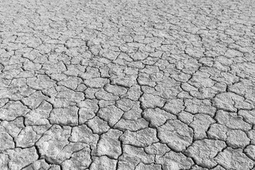 The background is dry and cracked soil,Dry mud soil land, cracked earth backdrop background well free space banner background with environment concept.