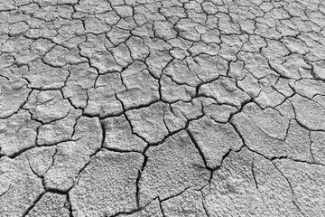 The background is dry and cracked soil,Dry mud soil land, cracked earth backdrop background well free space banner background with environment concept.