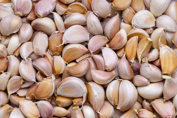 Close-up macro of garlic,Garlic bulbs on black background, close-up. Organic garlic top view. Food background. Selective focus.