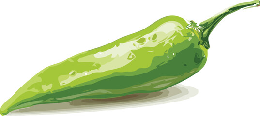 Chili vector art