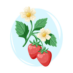 Ripe strawberries with blooming flowers and fresh leaves. Spring bright vector cartoon illustration.