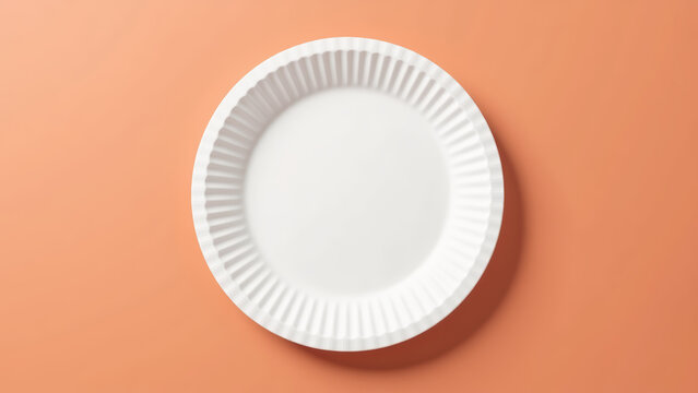 Empty paper plate round disposable white minimalistic design clean surface kitchenware food service party supplies simple aesthetic