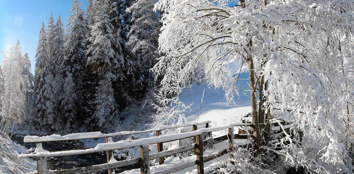 Verschneite Waldlandschaft mit Bach, &Ouml;sterreich, Europa, Panorama 