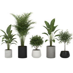 Indoor plants in pots home decor ideas modern houseplants collection for decoration office