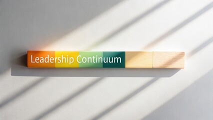 Leadership Continuum bar with gradient colors and text