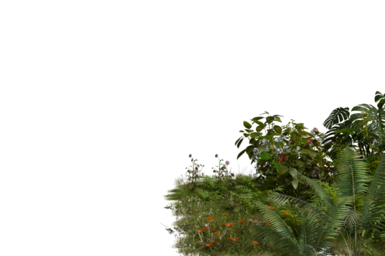Lush green tropical plants and bushes with vibrant red and white flowers fill the bottom-right, contrasted against an expansive isolated transparent  background