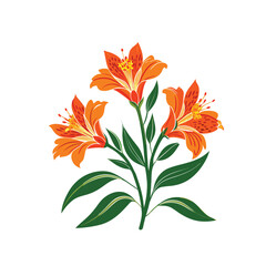 Alstroemeria flowers with leaves in detailed botanical art on white