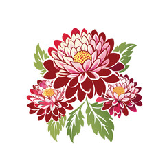 Chrysanthemum vector illustration isolated on white background