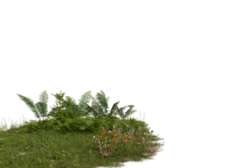 A vibrant cluster of green grass, lush foliage, and delicate orange wildflowers grows on an isolated patch of earth isolated transparent background