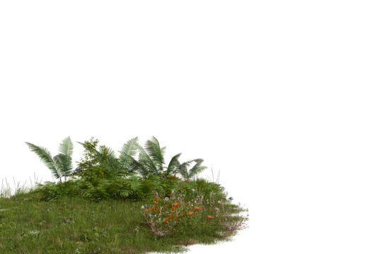 A vibrant cluster of green grass, lush foliage, and delicate orange wildflowers grows on an isolated patch of earth isolated transparent background