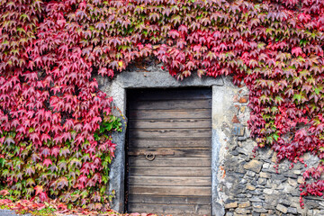 foglie in autunno, in Italia