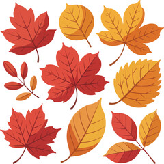 Obraz premium Autumn Leaves Collection Colorful Fall Foliage in Red, Yellow, and Orange