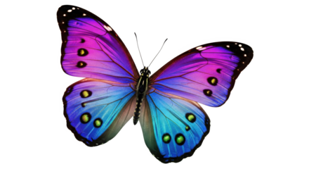 Stunning Blue and Purple Morpho Butterfly Isolated on Transparent Background for Nature Design