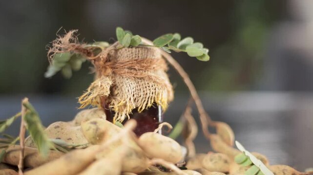 Traditional Ayurvedic Tamarindus indica Extract in Glass Bottle Wrapped with Gunny Cloth and String &ndash; Natural Tamarind Remedy for Skin Care, Acne Spots, Pores and Herbal Beauty Treatment Stock Footage