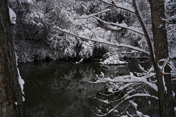 Soldier Lake. The branches of the trees are covered with the first snow. A lake in a mountainous area with a variety of vegetation. November.