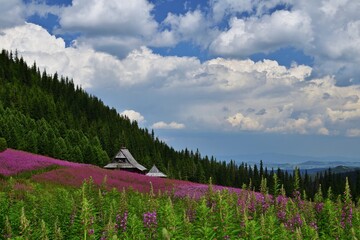 Sommerlandschaft mit Hütte in der Hohen Tatra, Polen