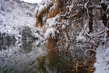 Soldier Lake. The branches of the trees are covered with the first snow. A lake in a mountainous area with a variety of vegetation. November.