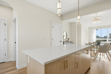 Kitchen with a white counter and wooden cabinets