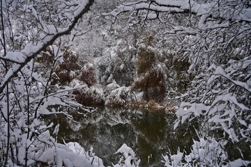 Soldier Lake. The branches of the trees are covered with the first snow. A lake in a mountainous area with a variety of vegetation. November.