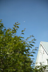 The moon photographed during the middle of the day in Ontario, Canada.