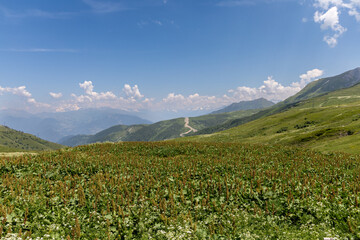 Col de la Madeleine , Savoie , France