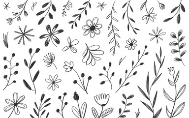 Assorted Hand Drawn Floral and Botanical Graphics illustration