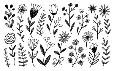 Assorted Hand Drawn Floral and Botanical Illustrations