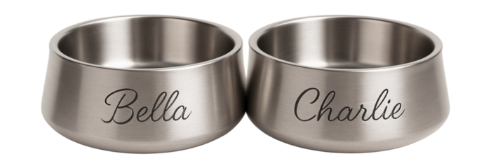 Custom engraved double bowls for a personalized touch in pet-friendly homes.