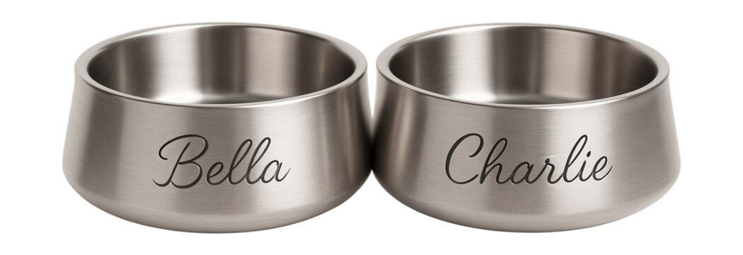 Custom engraved double bowls for a personalized touch in pet-friendly homes.