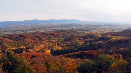 Neunlindenturm zum Blauen