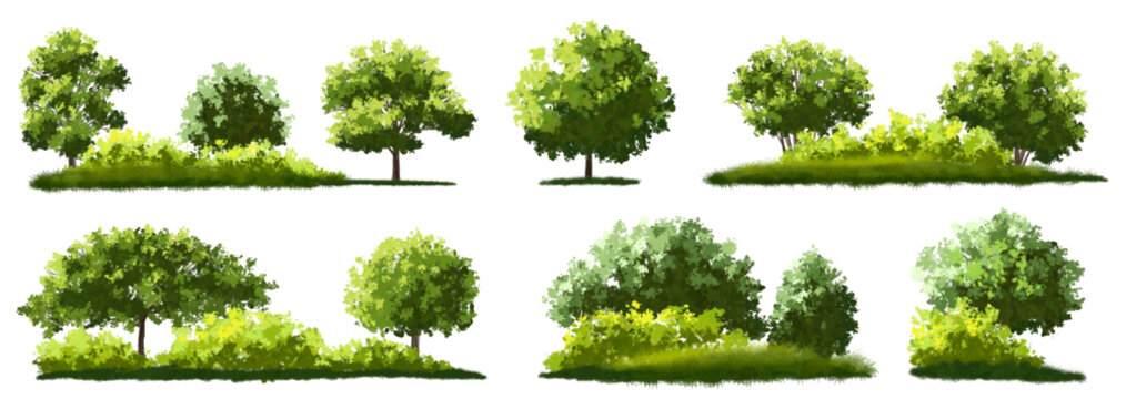  Vector watercolor green  tree or forest side view isolated on white background for landscape and architecture drawing,elements for environment or and garden,Shrub for section