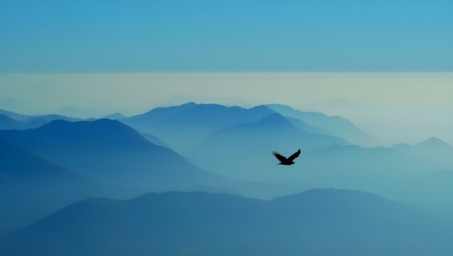 A solitary bird soaring above a misty mountain range, symbolizing freedom and tranquility, Generative AI