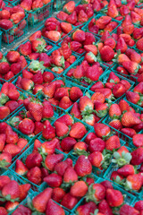 A vibrant display of fresh strawberries at a farmers market in Sarasota, Florida, showcasing ripe berries, organic produce, colorful fruit displays, and the natural freshness of local farm harvests in