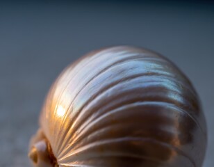 Soft Macro Shot of Pearl Surface Texture for High-Quality Stock Photo