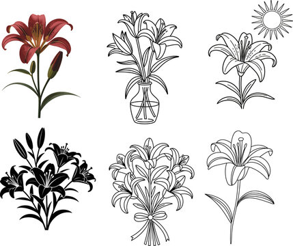 Exquisite Lily Flower Designs Perfect for Your Next Crafting Project or Stationery Needs for a Touch of Elegance