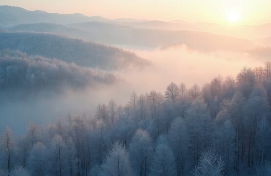 Frozen forest landscape in morning fog. Bare trees covered in frost under pastel sunrise sky. Hazy hills fade into distance, creating calm atmospheric winter scene.