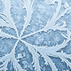 Close-up of intricate frost patterns on a window, resembling a delicate fern.