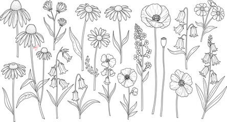 Black and white wildflower bouquet line art illustration featuring coneflowers, daisies, poppies, bellflowers and botanical elements for vector design