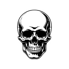 A detailed black and white vector illustration of a human skull, viewed straight-on. The artwork features high contrast shading in an engraving or tattoo style, isolated on white.