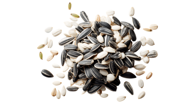 Scattered sunflower seeds, both whole black striped seeds and peeled white seeds