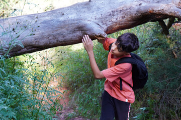 teenagers and outdoor activities. Preteen boy hiking in the mountains, passing under a tree trunk.