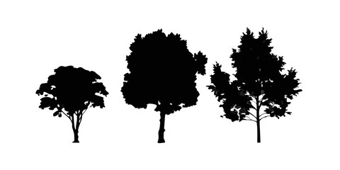 Trees Isolated on White Background .Trees collection set. Green plants with leaves, garden botanical, realistic vector illustration isolated on white background
