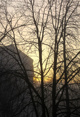 A dark city street is wrapped in dense fog with faint lights. The scene suggests quiet movement and a subdued winter atmosphere.
