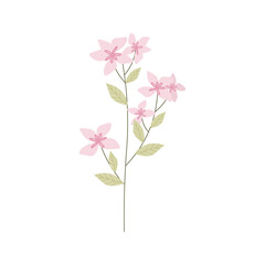 Illustration of Pink Flowers in a Minimalist Botanical Bouquet, spring delicate flower in flat style.