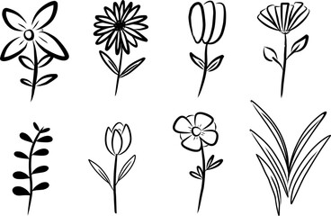Minimalist flower line art collection for decorative design, botanical elements, crafting projects, logos, and modern elegant layouts.