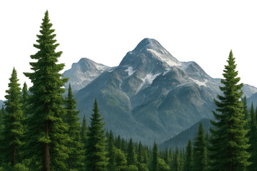 Fototapeta premium Alpine landscape with snow-capped mountain peaks and green pine trees in a vast forest, transparent background