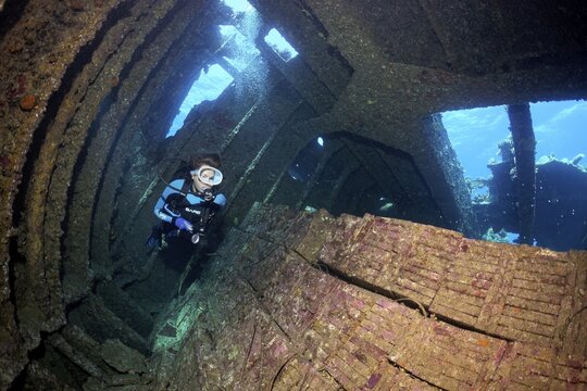 Diver, diver below deck in wreck, looking at load of tiles, shipwreck, Chrisoula K, Greek, cargo ship, tile freighter, stern, sunk on 30.08.1981 on Sha'b reef, or Shaab Abu Nuhas, Red Sea, Egypt