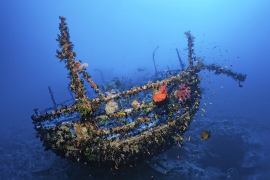 Diver on wreck, stern Aida, French, ship, shipwreck, steamship, sunk 1957, Big Brother Islands, Egypt, Red Sea