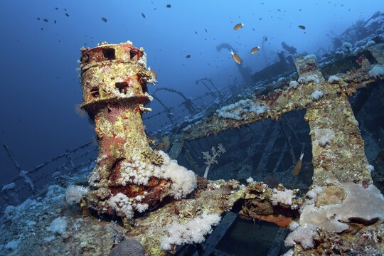 Aida, wreck, deck superstructure, French, ship, shipwreck, steamship, sunk 1957, Big Brother Islands, Egypt, Red Sea